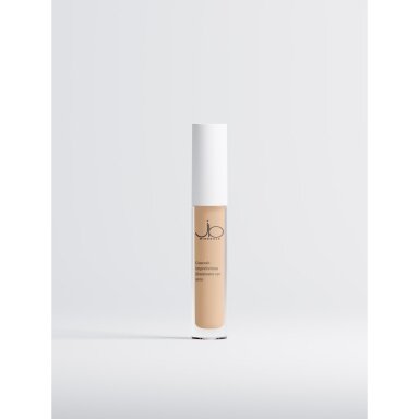 CONCEALER Luminous Perfecting Concealer: Light Warm