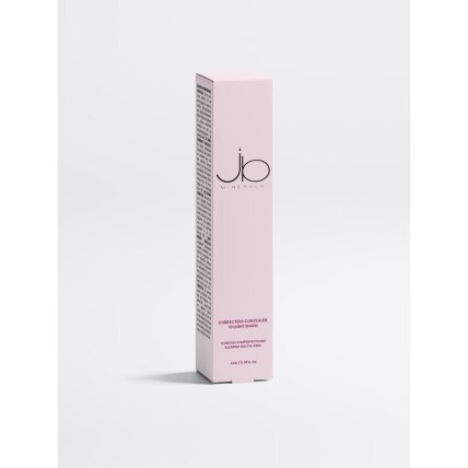 CONCEALER Luminous Perfecting Concealer: Light Warm 1